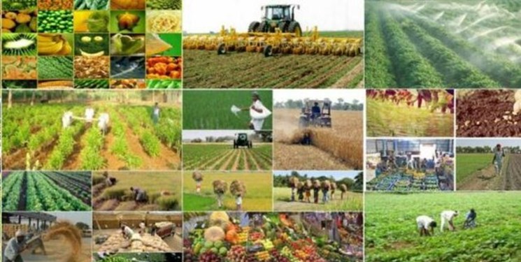 افتتاح 81 پروژه کشاورزی با اعتبار 1230 میلیارد ریال در آذربایجان شرقی