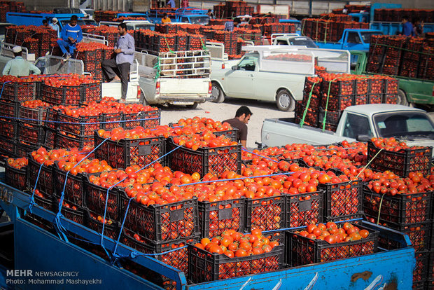 سهم ناچیز از سبد صادرات محصولات تبدیلی کشاورزی در روزهای کرونایی