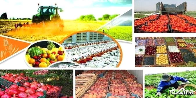 تشکیل ستاد تنظیم بازار کشاورزی به منظور ساماندهی بازار کالاهای کشاورزی