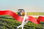 دهه فجر امسال ۲ هزار میلیارد ریال طرح کشاورزی در آذربایجان شرقی افتتاح می‌شود