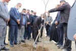 مراسم گرامیداشت روز درختکاری در شهرستان بناب برگزار شد+ تصاویر/ شهردار بناب: بیش از ۴۸ هزار درخت در بناب شناسنامه دار هستند