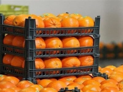 توزیع ۷۰ هزار تن سیب و پرتقال تنظیم بازار آغاز شد