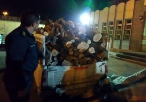 کشف چوب آلات ممنوع القطع درخت  گز در شهرستان بناب + تصاویر