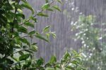 تأمین ۳۷.۷ درصدی بارش سال آبی امسال در آذربایجان شرقی