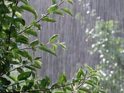 تأمین ۳۷.۷ درصدی بارش سال آبی امسال در آذربایجان شرقی